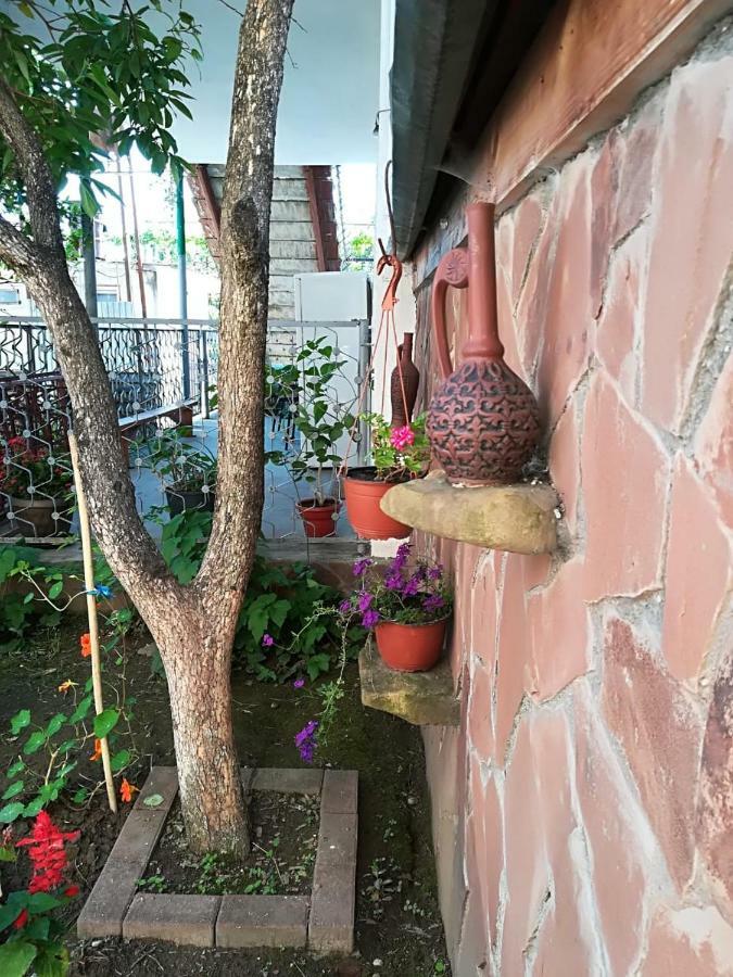 Runo Guest House Gagra Dış mekan fotoğraf
