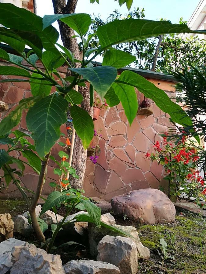 Runo Guest House Gagra Dış mekan fotoğraf