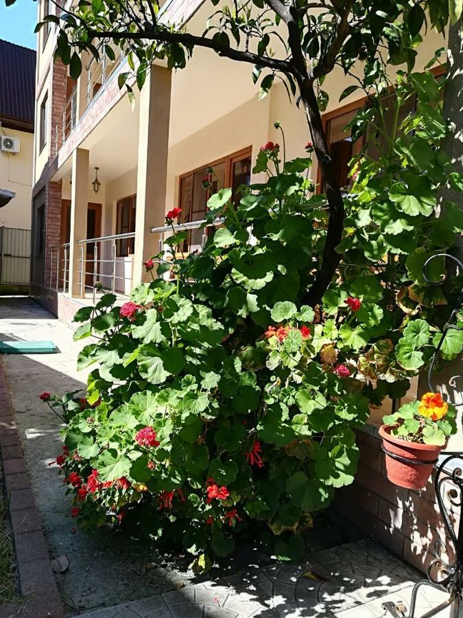 Runo Guest House Gagra Dış mekan fotoğraf